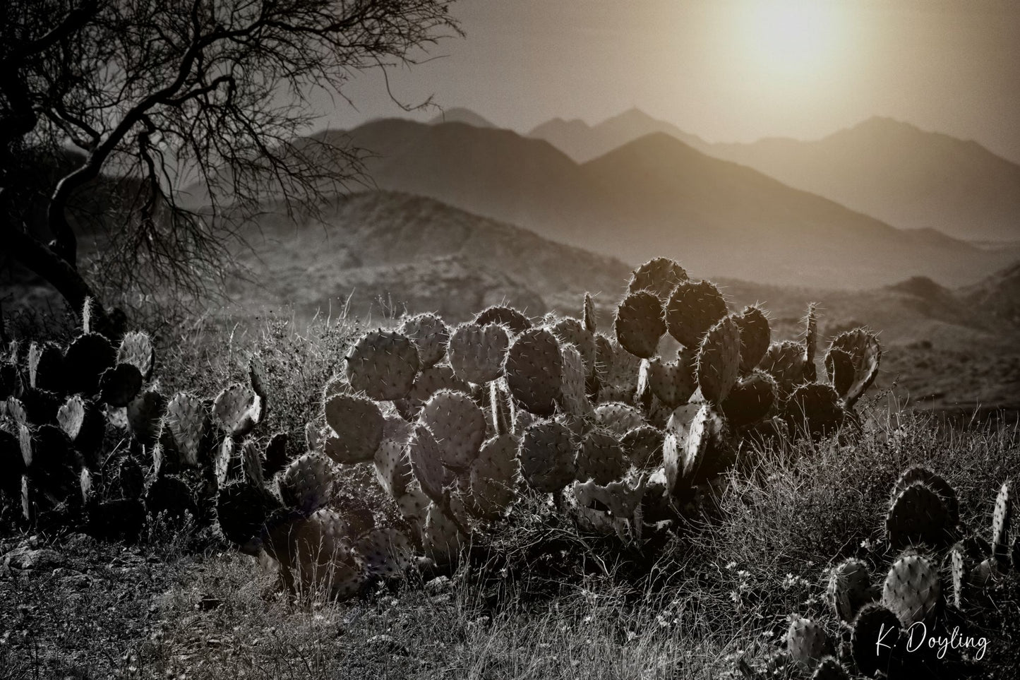 Dusk in Arizona