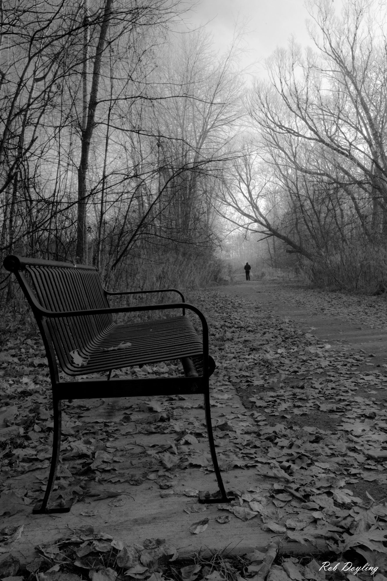 Distance Friends Pleasant Woods Park Bench