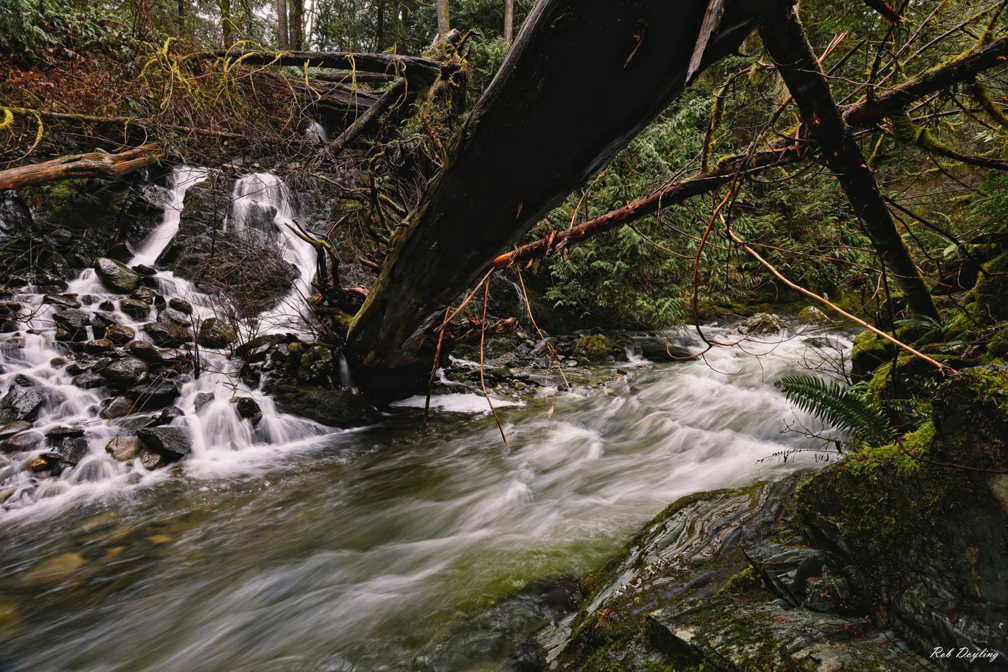 Down River Gold Stream Park