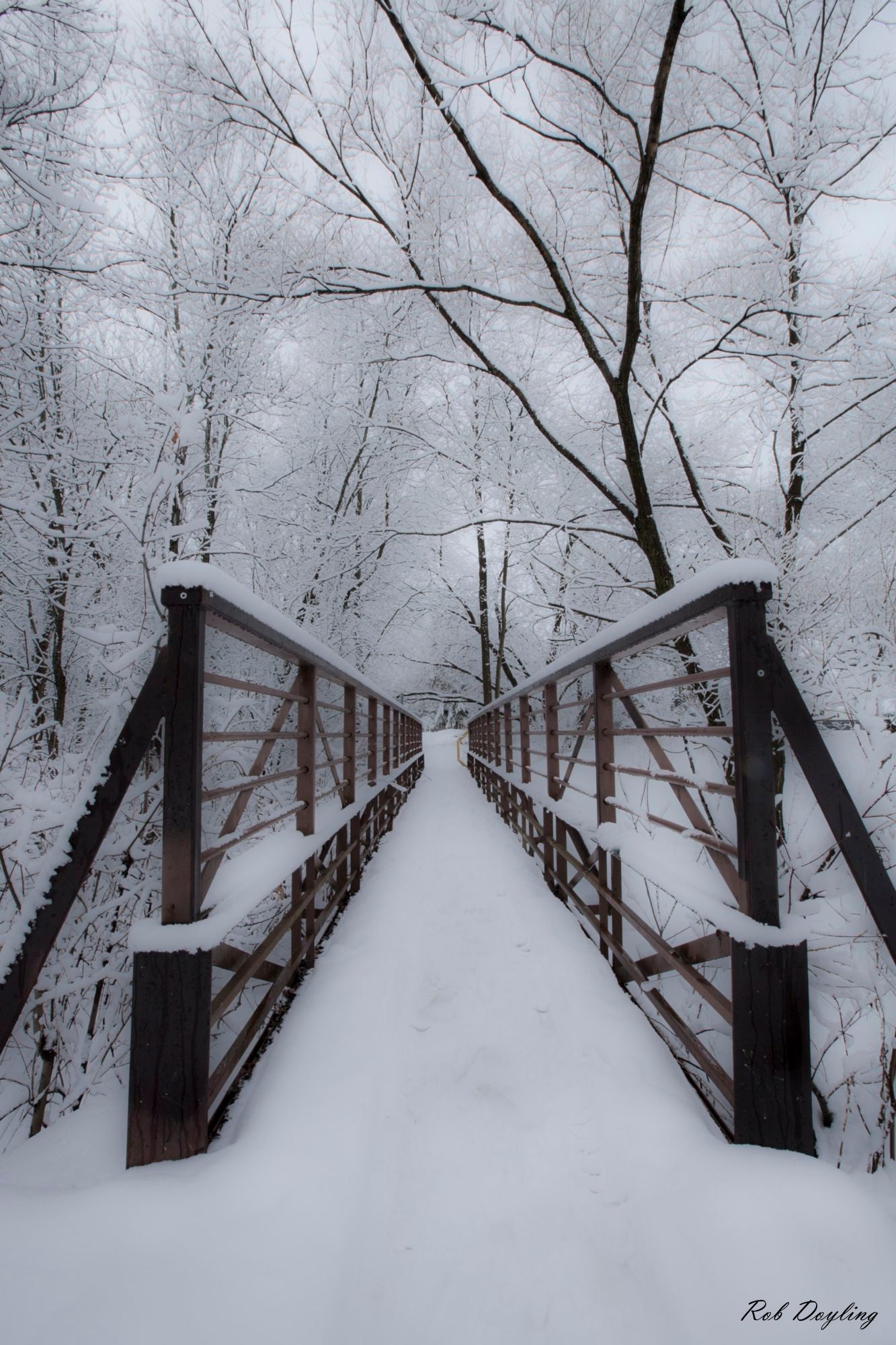 Journey Begins Pleasant Blvd Bridge
