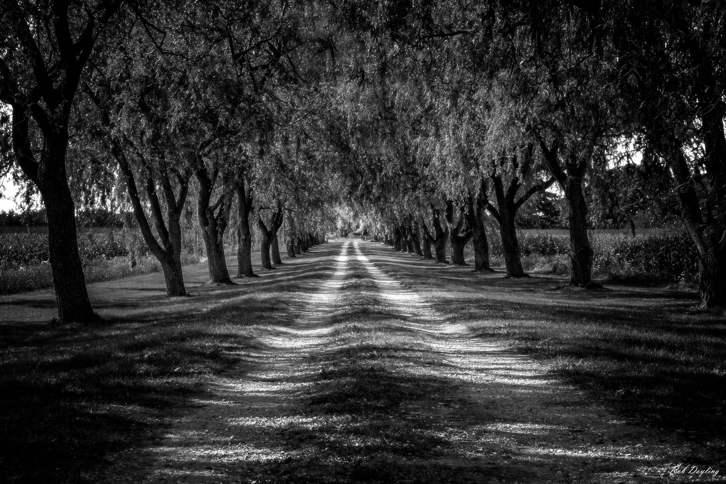 Long Road Farmers House Leslie Street