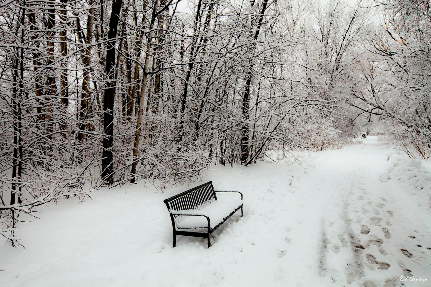 Quite Time Pleasant Blvd Bridge