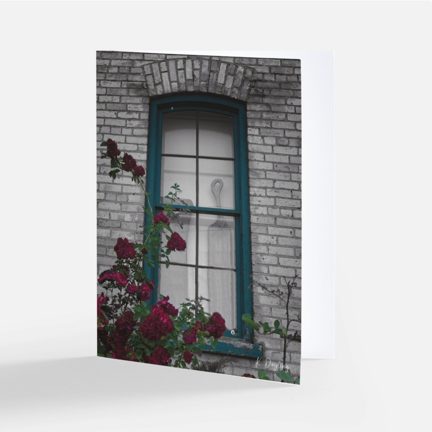 Greeting Card 10 Pack - Belle