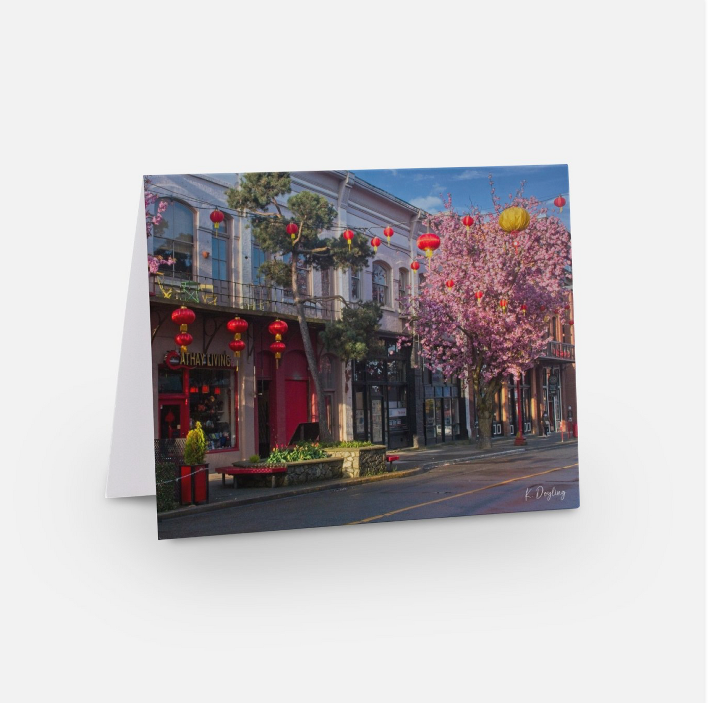 Greeting Card 10 Pack - Springtime on Fisgard Street