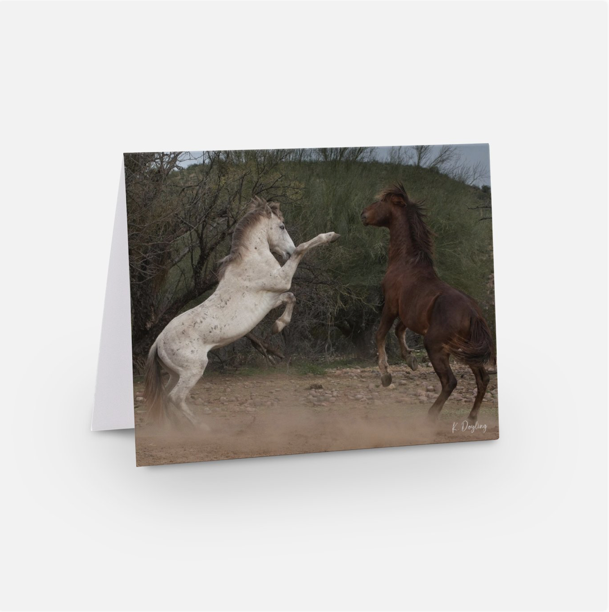 Greeting Card 10 Pack - Let's Dance