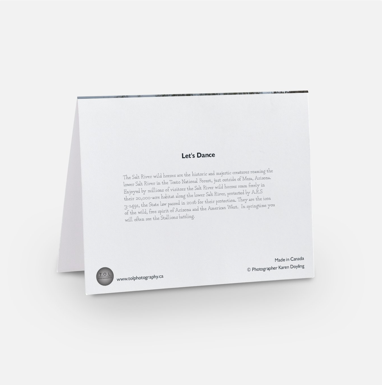 Greeting Card 10 Pack - Let's Dance