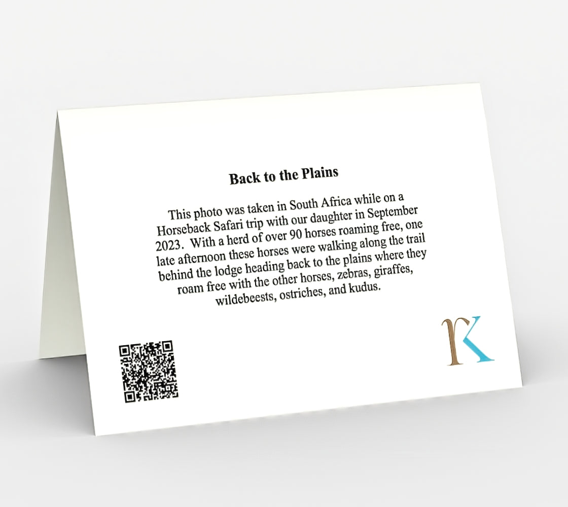 Back to the Plains - Set of 3 Greeting Cards