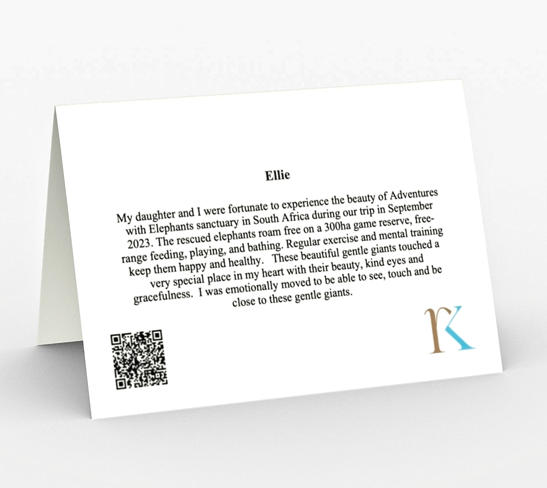 Ellie - Set of 3 Greeting Cards