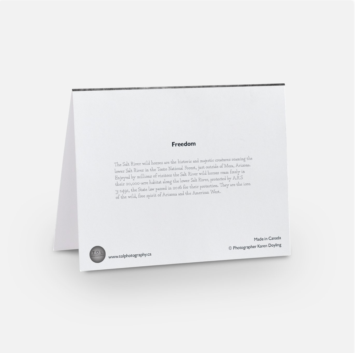 Greeting Card 10 Pack - Freedom