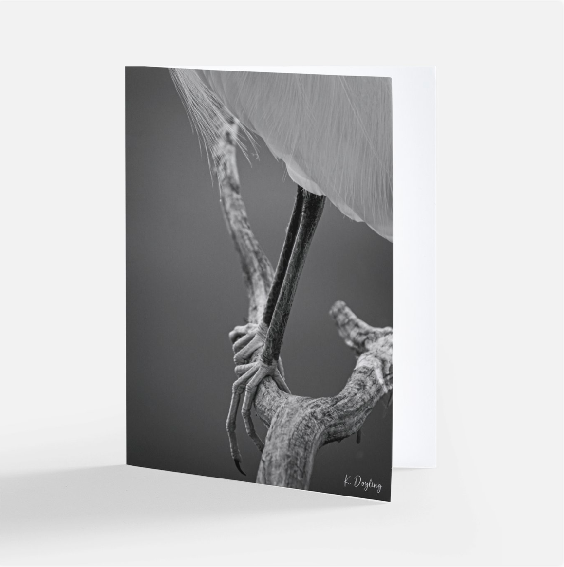Greeting Card 10 Pack - Guidance
