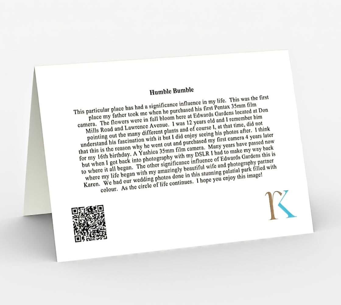 Humble Bumble - Set of 3 Greeting Cards