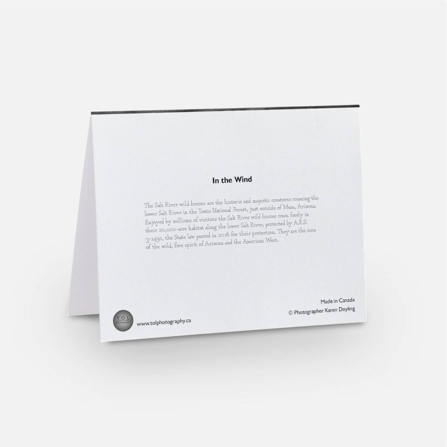 Greeting Card 10 Pack - In the Wind