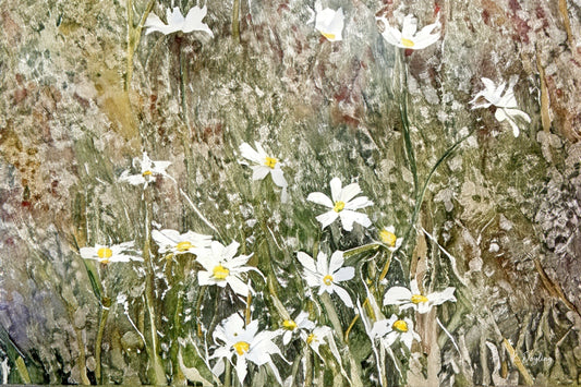 Purity