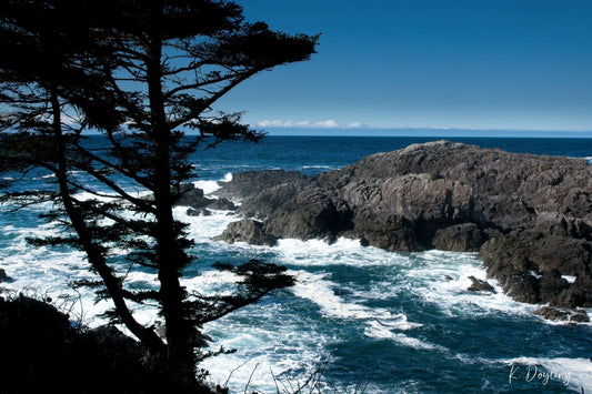 Ucluelet Looking Out