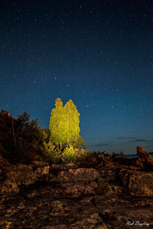 Evergreens and Big Dipper
