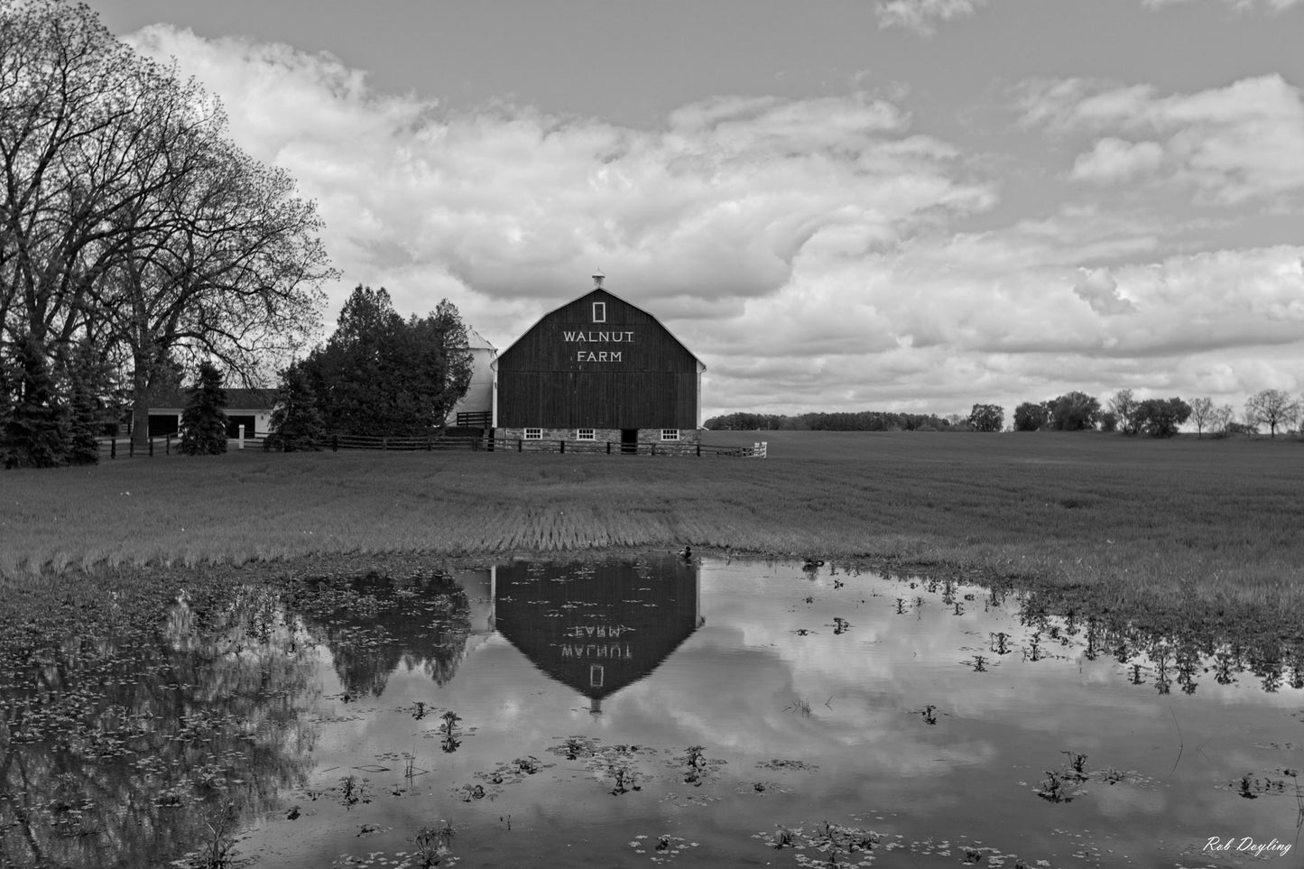 Leslie Street Walnut Farm