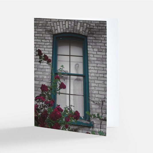 Greeting Card 10 Pack - Belle