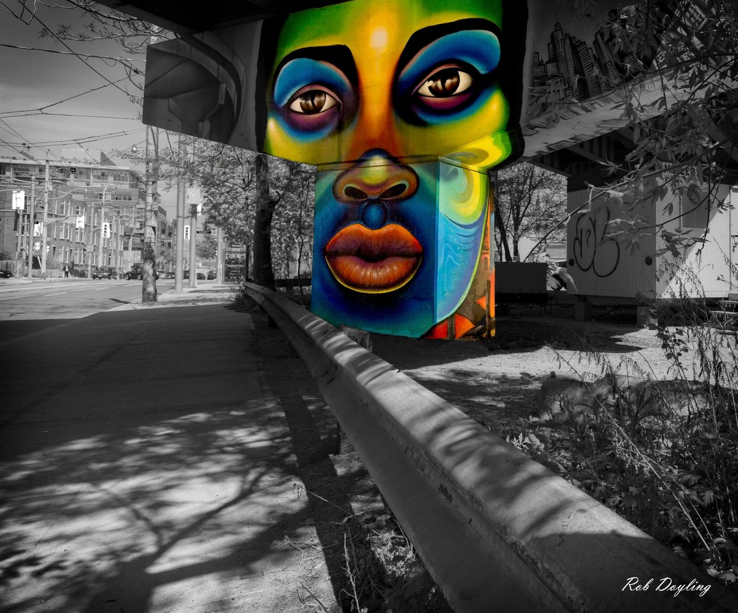 Speak - Toronto City Streets