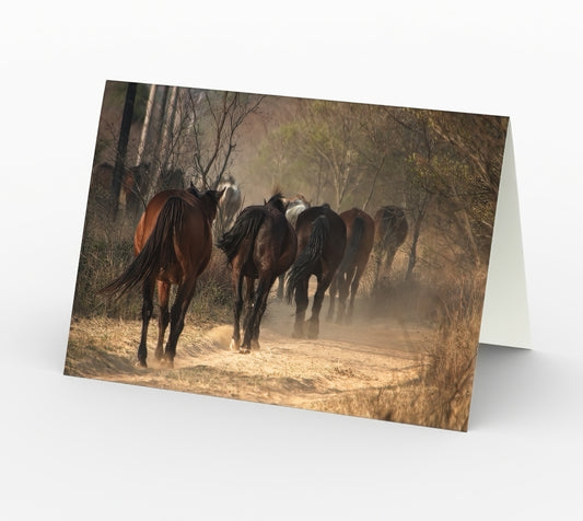 Back to the Plains - Set of 3 Greeting Cards