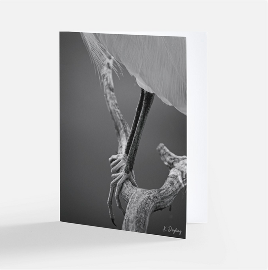 Greeting Card 10 Pack - Guidance