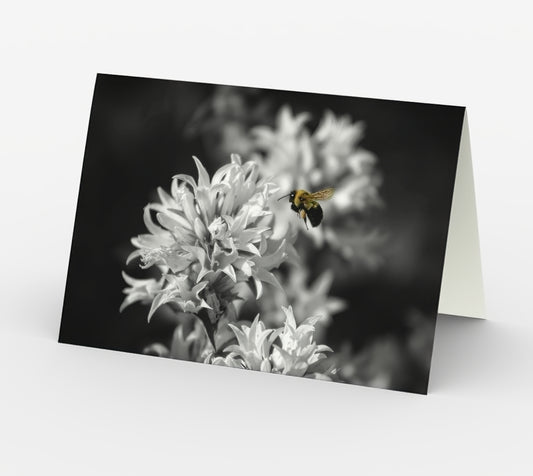 Humble Bumble - Set of 3 Greeting Cards