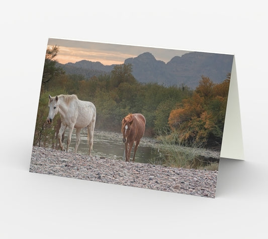 It Takes Two - Set of 3 Greeting Cards