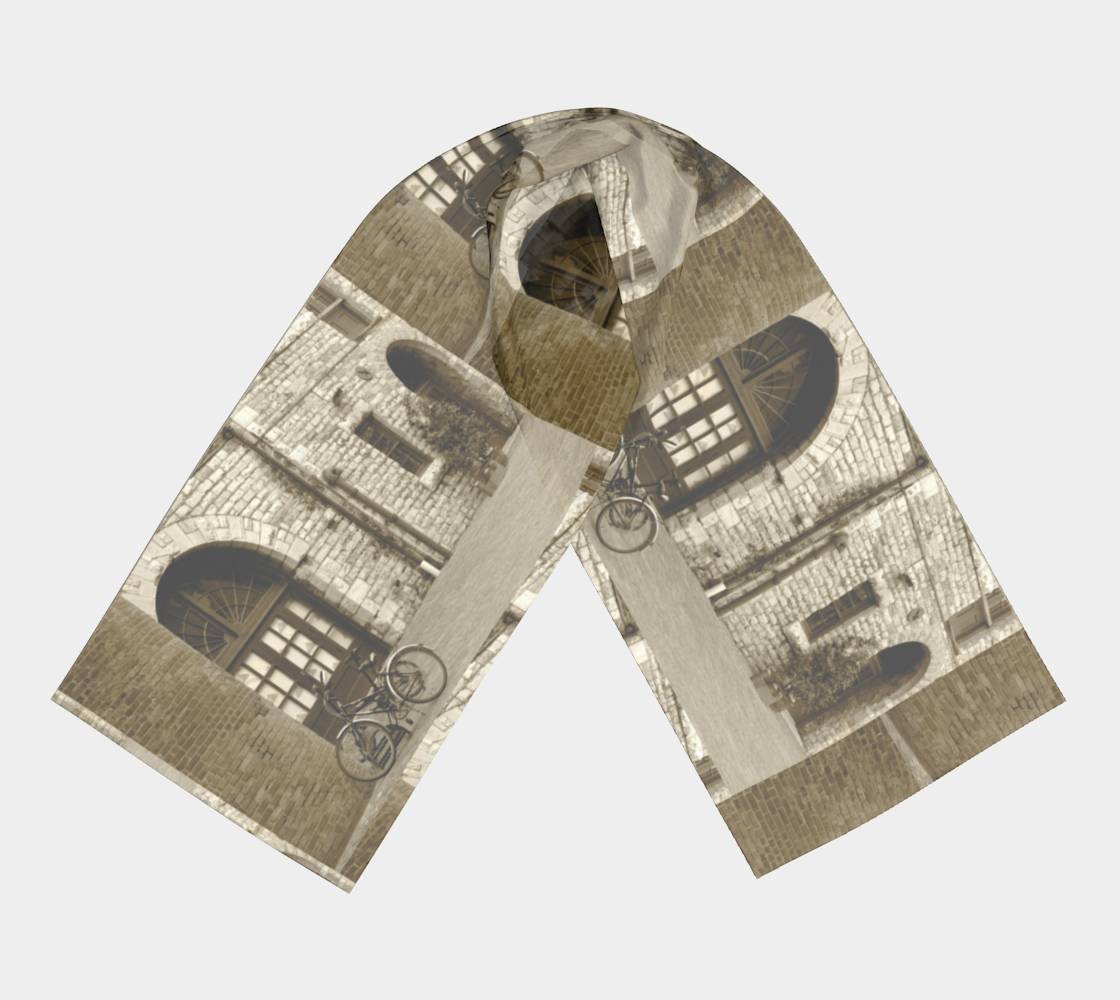 Dreaming of Paris - Scarf
