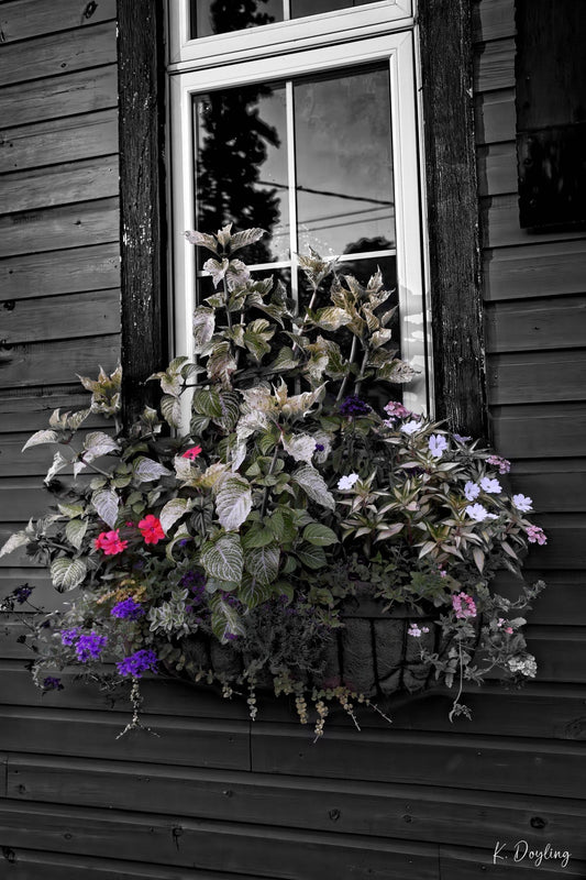 Tin Shed Window Box