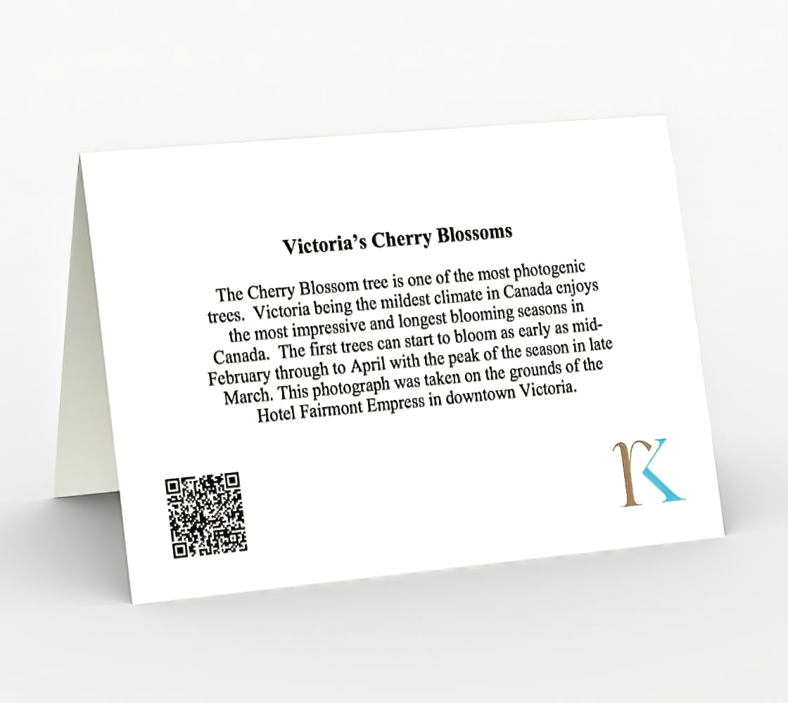 Victoria's Cherry Blossoms - Set of 3 Greeting Cards