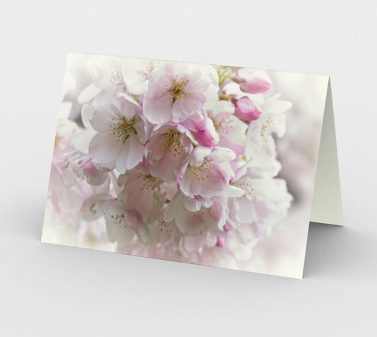 Victoria's Cherry Blossoms - Set of 3 Greeting Cards