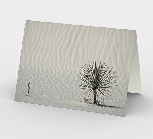 Zen Garden - Set of 3 Greeting Cards