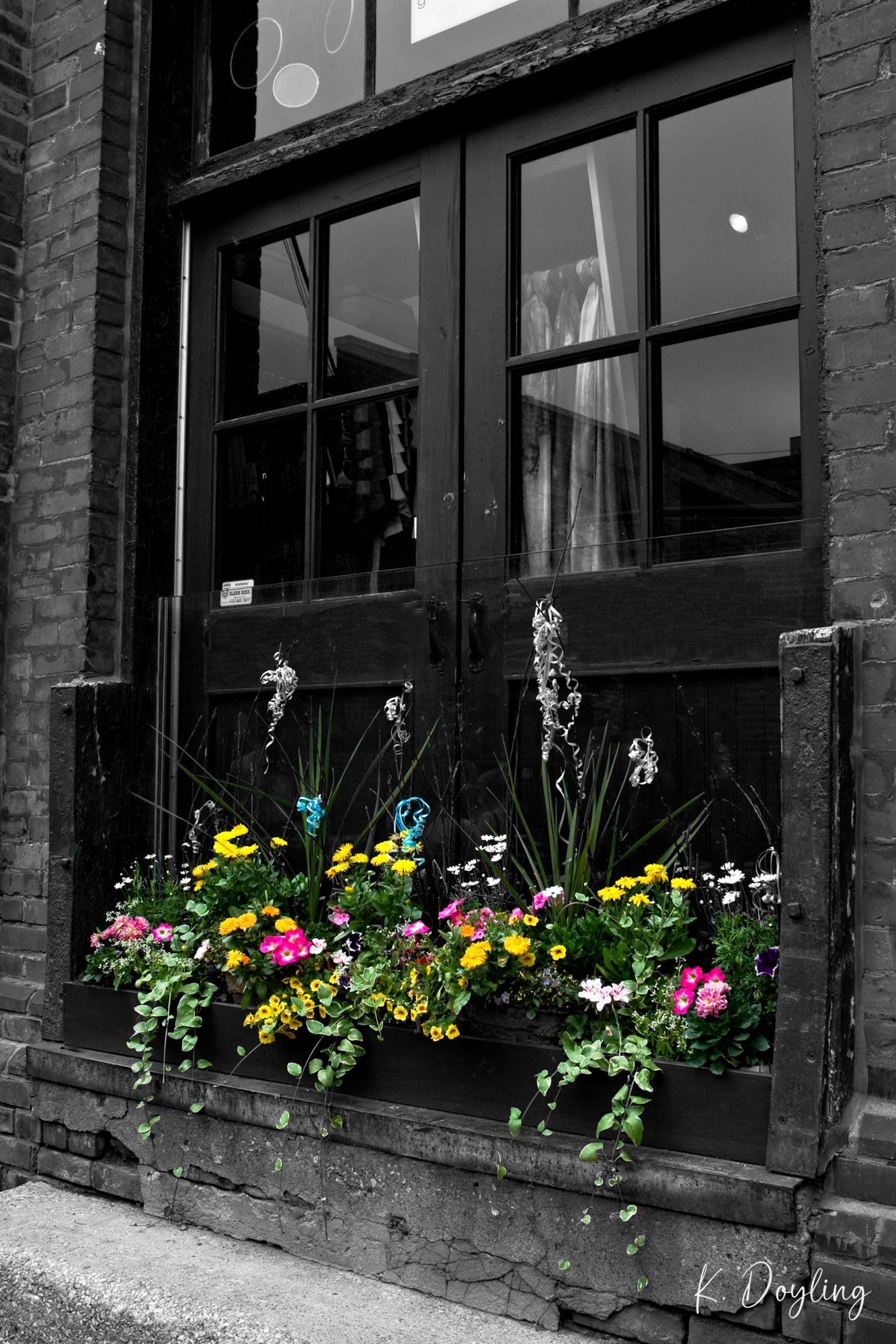 Distillery District Flowers