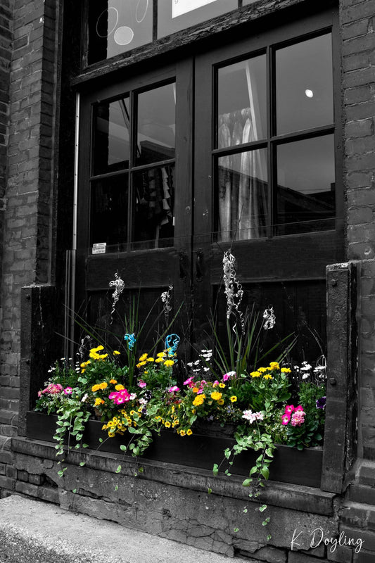 Distillery District Flowers